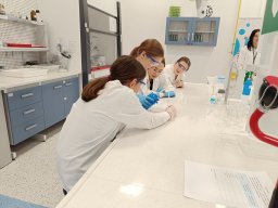 b_1024_768_0_00_images_2023_2024_Swiniuch_Klasy5CNL_410571621_820445346550082_480081708173379062_n